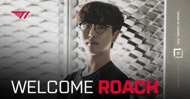 适区域接球 适区域接球