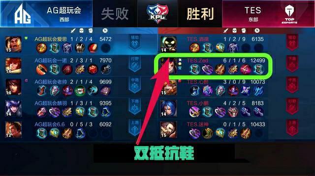 不仅展示了 不仅展示了